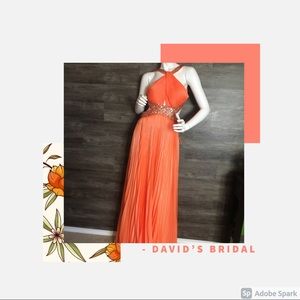 David’s Bridal Evening Gown, Dave and Johnny